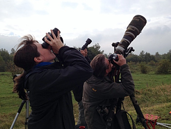 vogelweekend