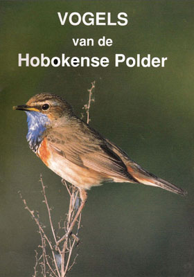 Vogels van de Hobokense Polder