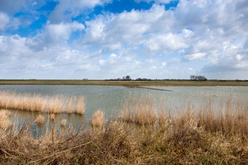 Van Haaftenpolder