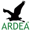 ARDEA