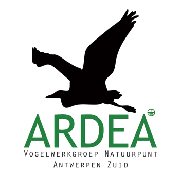 Ardea