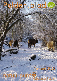 Polder.blad 2013/1