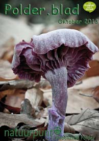 Polder.blad oktober 2013