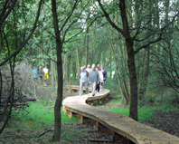 Vallei van de Zwarte Beek, foto: Marcel Vanwaerebeke 