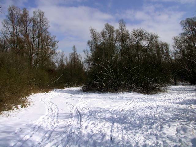 HokokenPolder_2004-02-27@121140