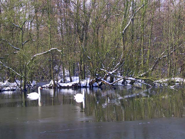 HokokenPolder_2004-02-27@121815