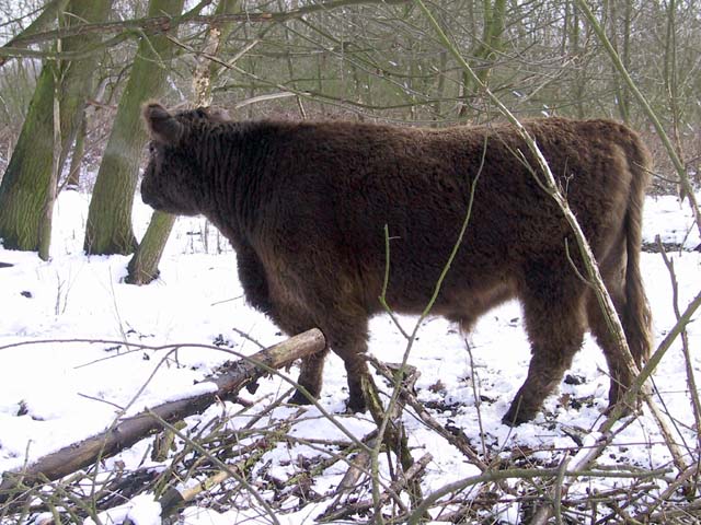 HokokenPolder_2004-02-27@125504