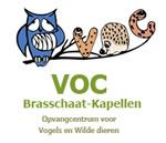 VOC Brasschaat