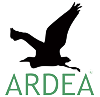 Ardea