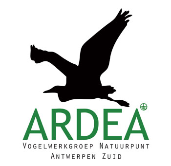 Ardea